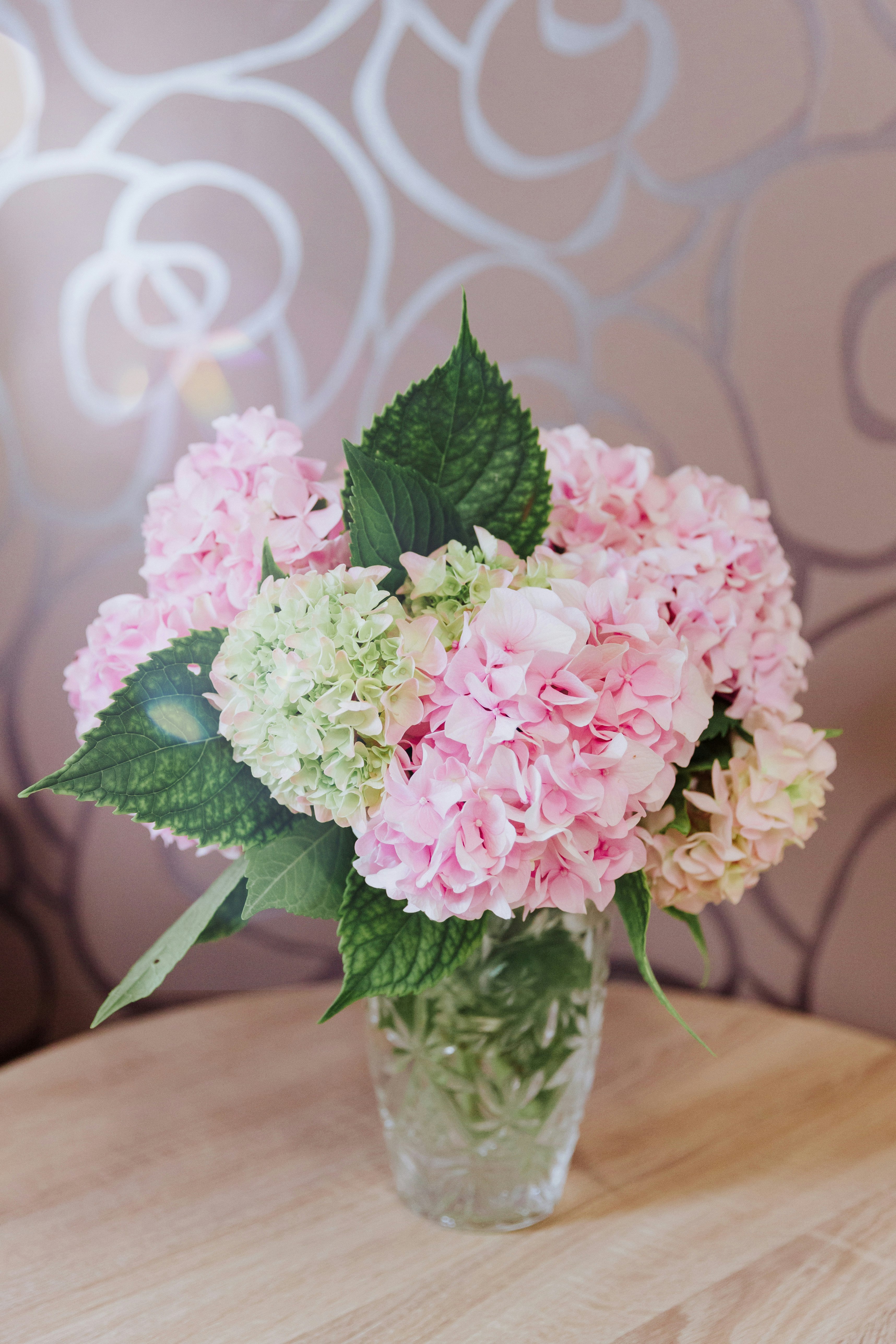 pink and white flowers in clear glass vase